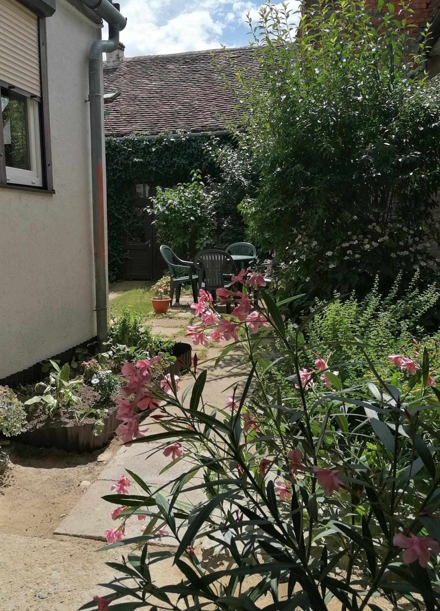 Hanna 3 Apartman Kőszeg Exteriör bild